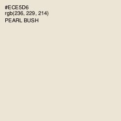 #ECE5D6 - Pearl Bush Color Image